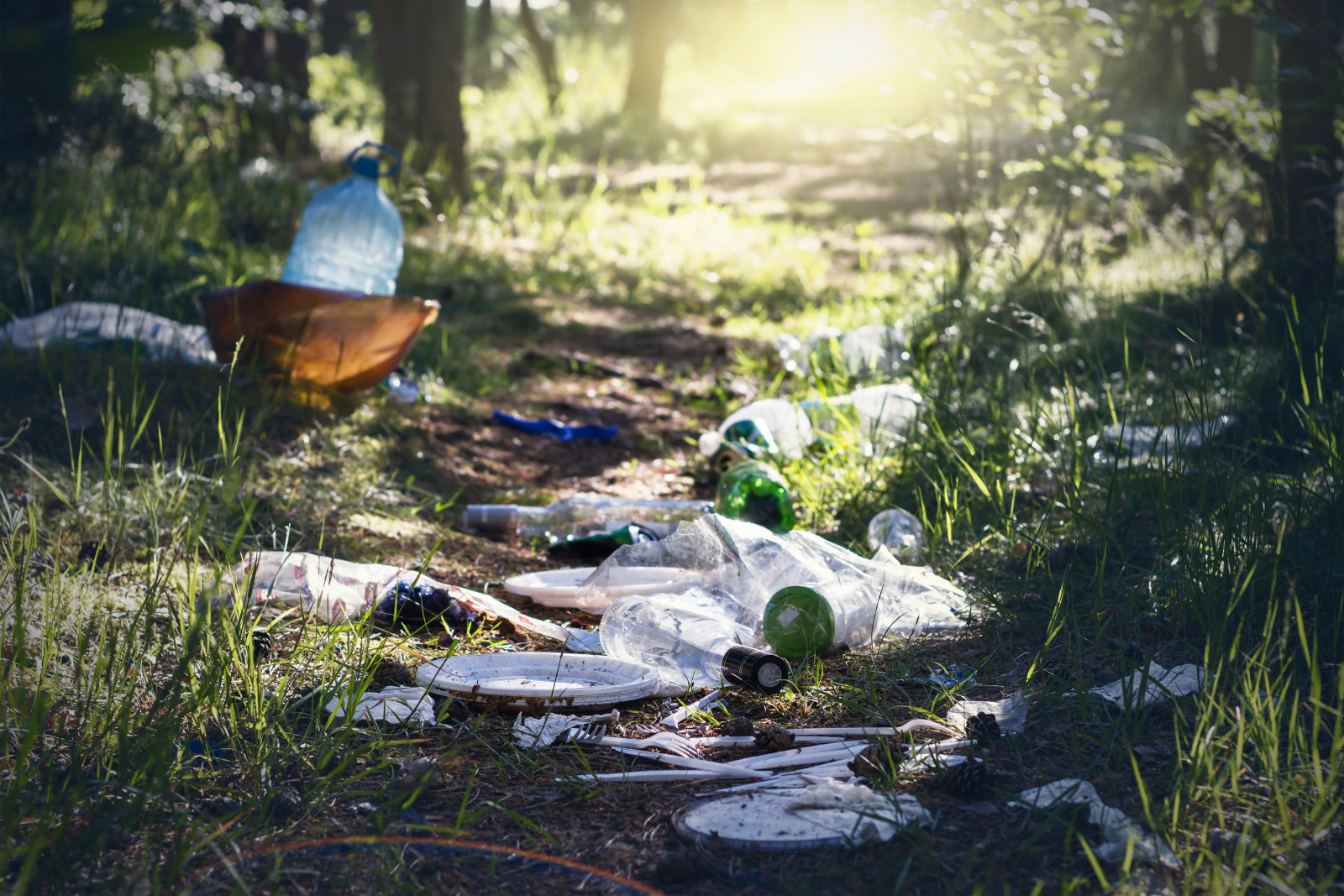 Des déchets jetés en pleine nature